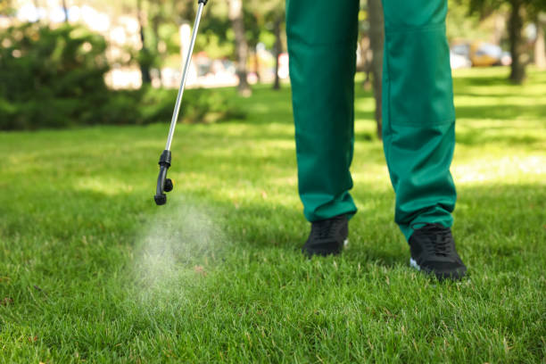 Best Flea Control Services  in Big Rock, IL