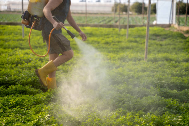 Best Best Pest Control Companies  in Big Rock, IL