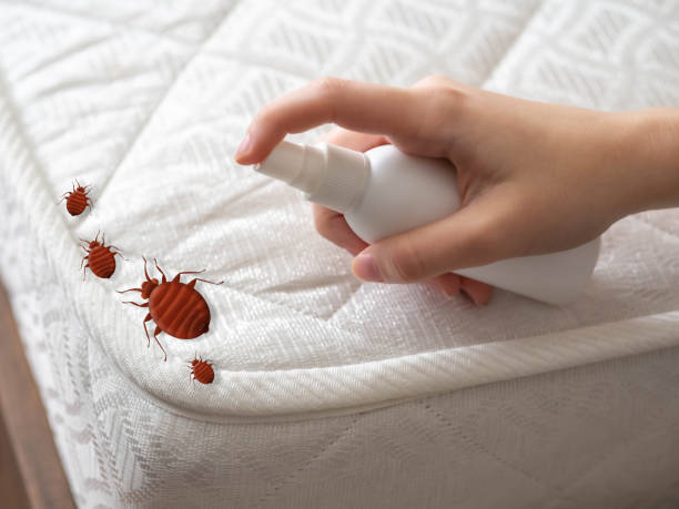 Big Rock, IL Pest Control Company