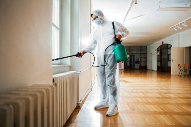 Best Exterminator Services  in Big Rock, IL