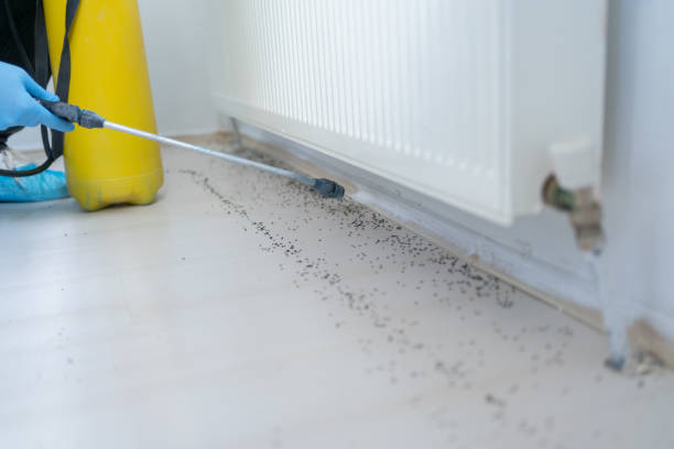 Best Best Pest Control Companies  in Big Rock, IL