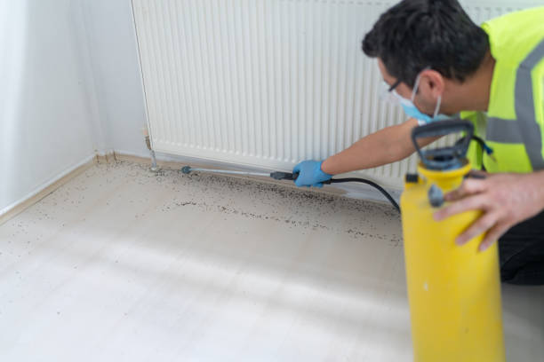 Trusted Big Rock, IL Pest Control Experts