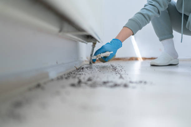 Best Best Pest Control Companies  in Big Rock, IL